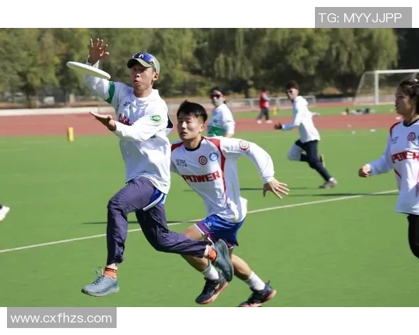 南京飞盘队实力分析及其在全国赛场的竞争优势探讨