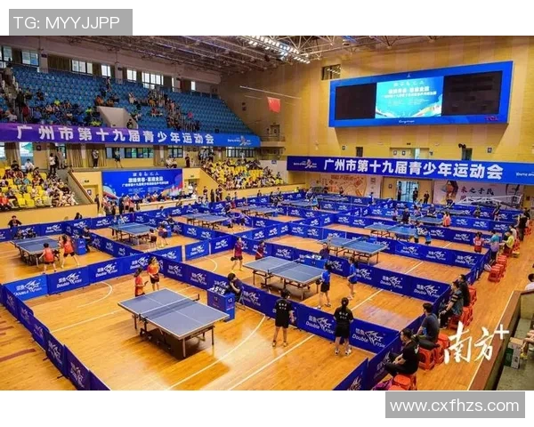 广州乒乓球队的阵地战策略与技战术深度解析