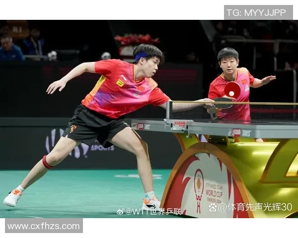 成都乒乓球队状态深度解析及各队员表现对比分析