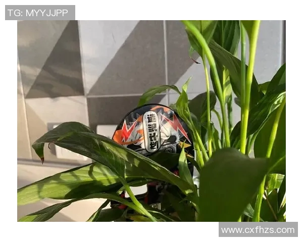 成都滑板队与北京滑板队赛后心理素质对比分析与反思