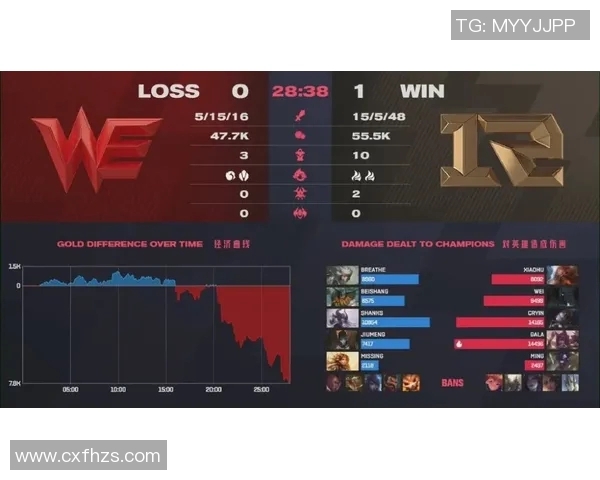 独家解析RNG团队协作的优势与不足对比分析