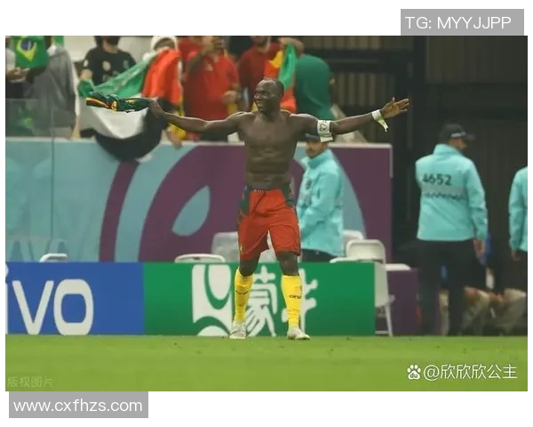 喀麦隆与巴西精彩对决全场回放尽享足球盛宴 喀麦隆与巴西精彩对决全场回放尽享足球盛宴