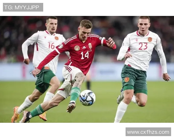 比利时与匈牙利精彩对决视频回顾及赛后分析分享