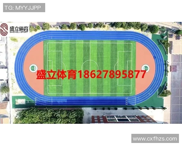 飞盘运动必备防护垫选购指南及推荐品牌解析