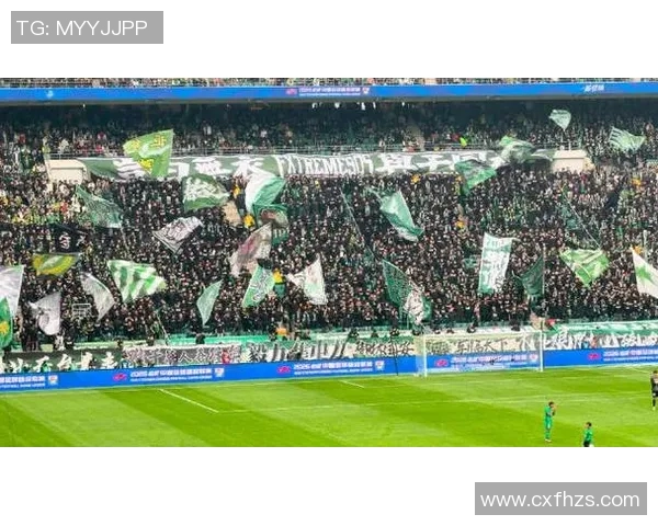 2019年一方与申花激战正酣球迷热情高涨赛场精彩纷呈