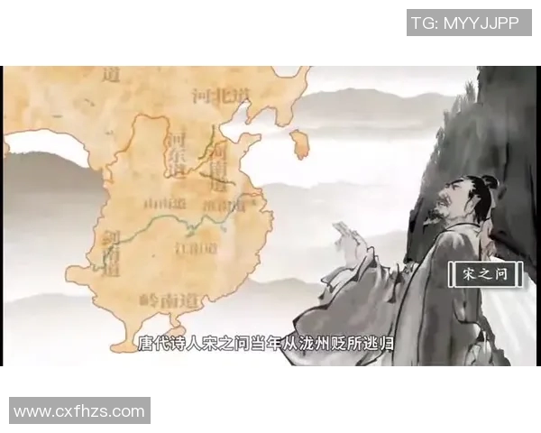 日本直播与免费视频的全面对比与选择指南